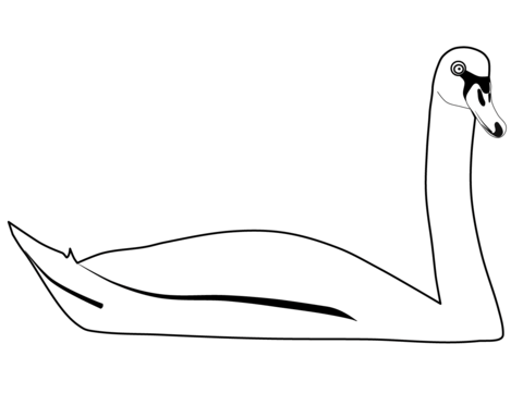 Swimming Swan Coloring Page